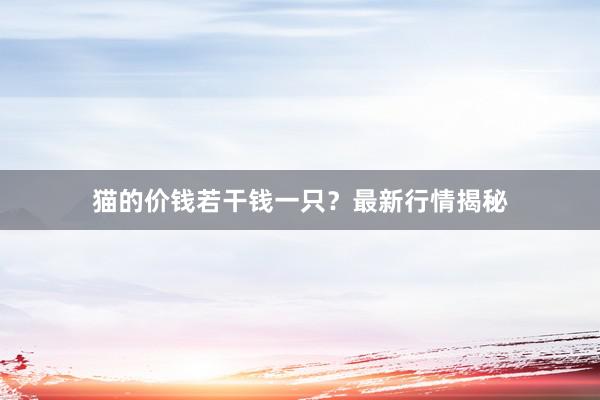 猫的价钱若干钱一只？最新行情揭秘