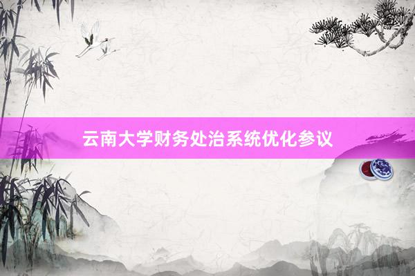 云南大学财务处治系统优化参议